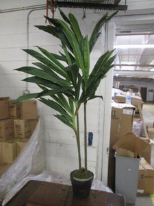 Silk potted plant