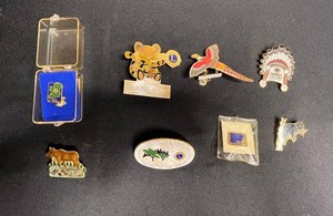 Vintage Lions Club Pin Collection - Minnesota & Attendance Pins (Lot of 8)