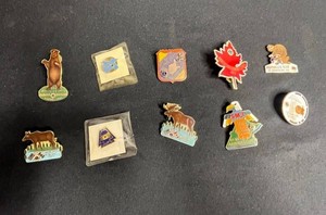 Vintage Minnesota Lions Club Pin Collection (Lot of 10)