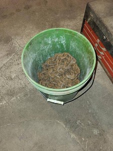 Assorted Heavy Steel Tow Logging Chains With Hooks Farm Shop