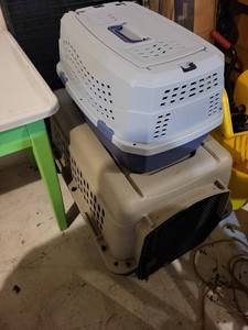 Mixed Pet Carrier Kennels & Folding Wire Dog Crate Lot