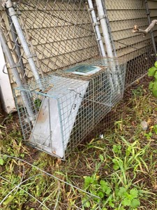 Live Animal Traps Wire Cage Raccoon Possum Style Mixed Sizes