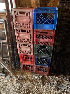 Vintage Plastic Milk Crates Marigold Foods Dairy Fresh Mixed Colors
