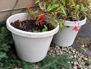 FY - Two Resin Planters