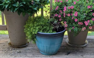 BY - Plastic Outdoor Planters (Lot of 3)
