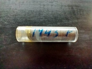 Partial Tube 1943 Steel Pennies
