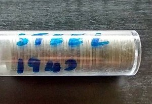 Partial Roll 1943 Steel Pennies