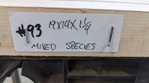 Mixed Species Premade, Tabletop Slab 24x24x1 14