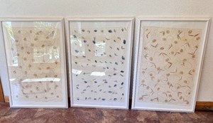 Three Framed Botanical Paper Art Pieces