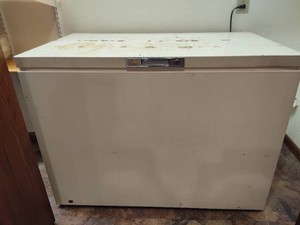 Sears Coldspot Large Chest Freezer