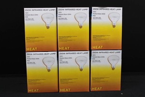 250W R40 Infrared Heat Lamps 120V E26 (Lot of 6)