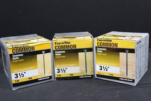 Hillman Fas-n-Tite 3 12 in 16d Common Nails (Lot of 3)