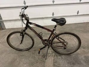 Trek Navigator 2.0 Bicycle