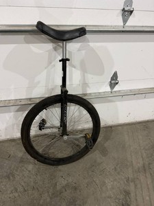 Unicycle