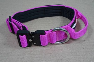Boss Dog Collar