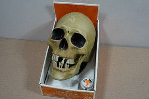 Halloween Animated Scary Skull
