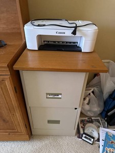 Canon PIXMA TS3122 Printer with SteelWorks 2-Drawer File Cabinet
