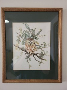 M.G. Loates Framed Owl Wildlife Bird Print in Wood Frame Wall Art