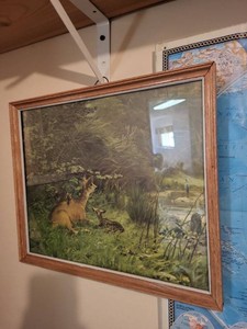 Framed Wildlife Deer & Fawn Woodland Landscape Print Wall Art