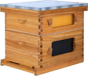 Brand New 8 Frame Bee Hive Starter Kit with Windows, Beeswax Coated Langstroth Bee Hives Boxes for Beekeepers with Beehive Frames and Waxed Foundations (1 Deep Brood Bee Box & 1 Medium Super Box)