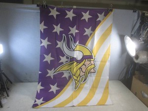 (EC1) Minnesota Vikings Vertical Garden Type Flag 27 12 x 39 12