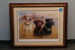 dog picture