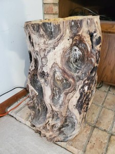 Large 27 Tall Antique Burrowood log Side Tableend table