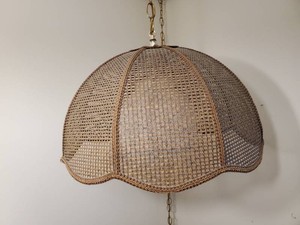 Wicker Hanging Lamp with Large round Glass Globe