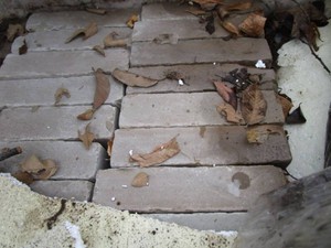Stone Pavers, 8 x 5 x 2...