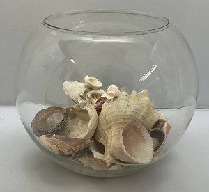 Large Collection Of Seashells In Large Glass Goldfish Bowl 13