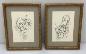 Set Of Vintage Pete May Pencil Signed Pen And Ink Sketches Of Irises 10 x 13