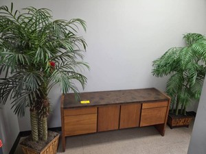 Credenza & (2) Fake Plants...