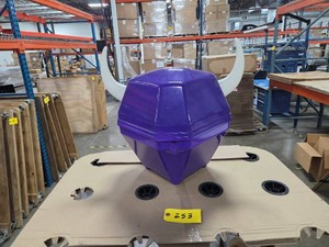 Minnesota Vikings Dcor...