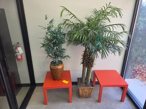 (2) End Tables & (2) Fake Plants...