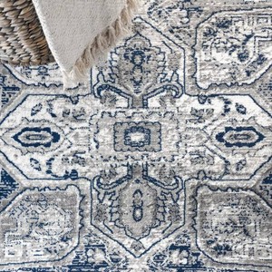 Jerica Modern Vintage Medallion Area Rug