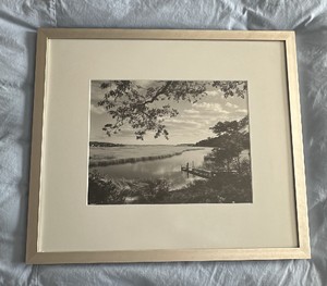 UP - Serene Marshland Vista Framed Print