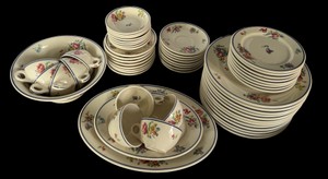 Floral Ceramic Dinnerware & Teacup Set
