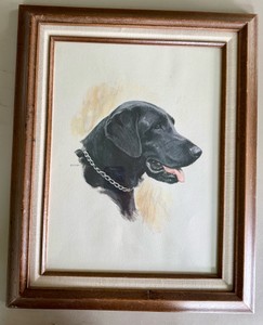 Mid-Century Vintage Black Labrador Portrait