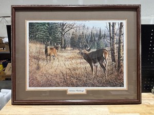 1985 MDHA Whitetail Print