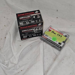 Winchester 20ga Steel #4 and 20 Slugs