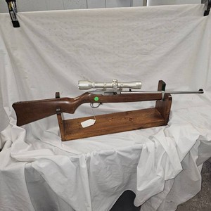 Ruger Stainless 1022 with 4x32 Scope
