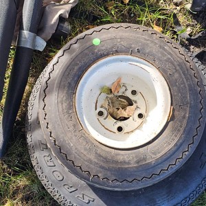 2-Trailer Spare Tires as Pictured