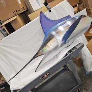 Beautiful Swordfish Head Mount   T-Poly