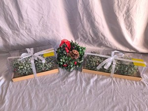 Christmas Decor-NEW-Mistletoe Spheres