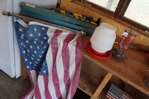 Bird Feeders and Flags