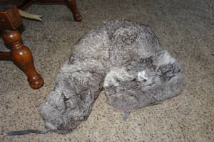 Natural Rabbit Fur Trapper Hat - Large