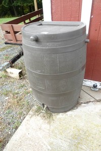 Rain Barrel