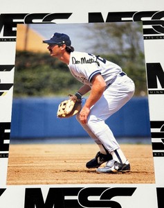 Don Mattingly Autograph 8x10 Baseball Photo