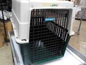 Pet Travel Case Large Size