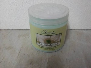 Clean Air Spring Rain Odor Absorbing Gel 15 oz